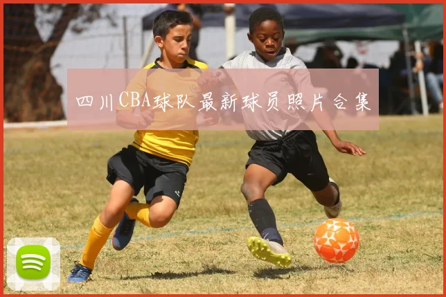 四川CBA球队最新球员照片合集